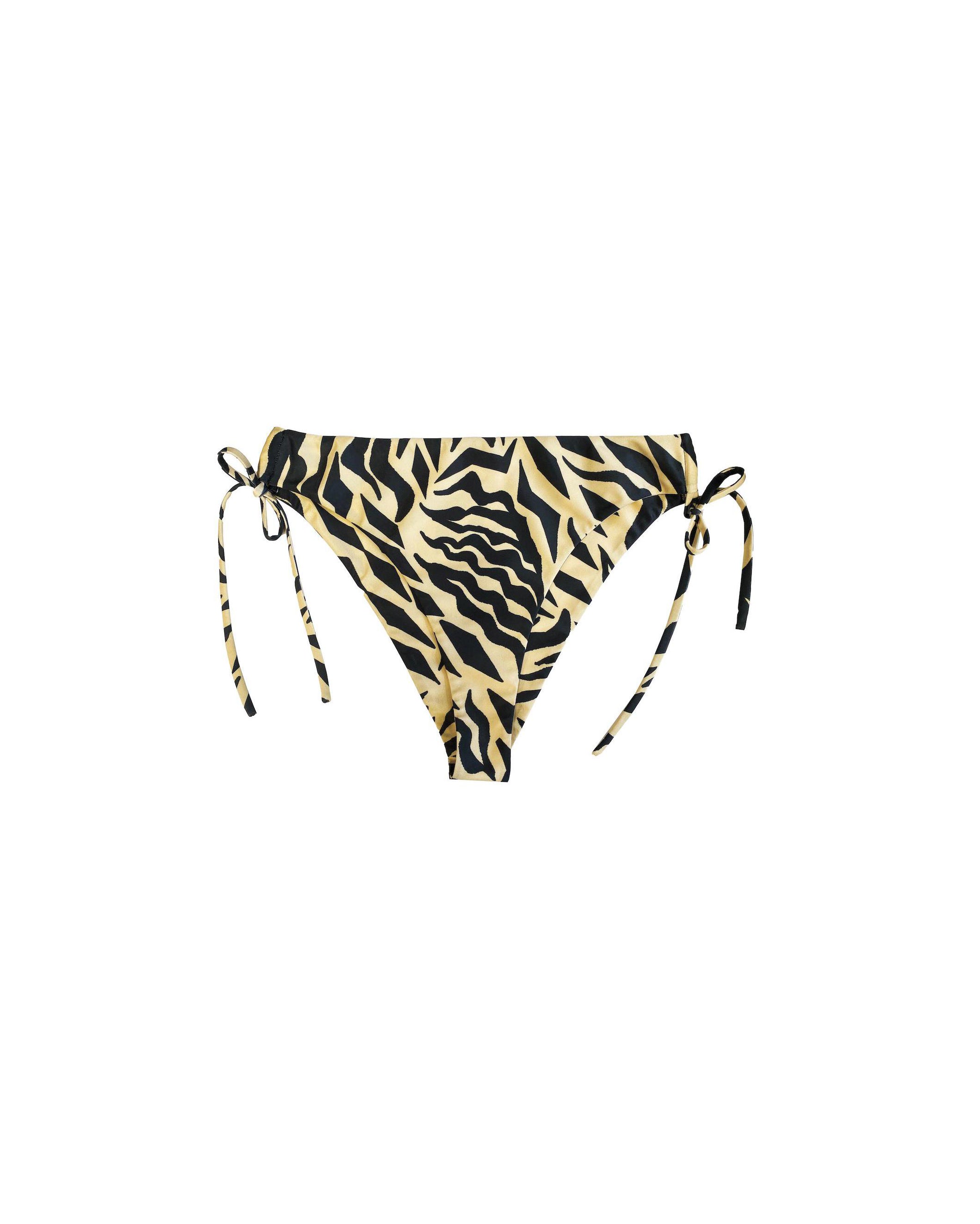 Rawr Bikini Bottoms