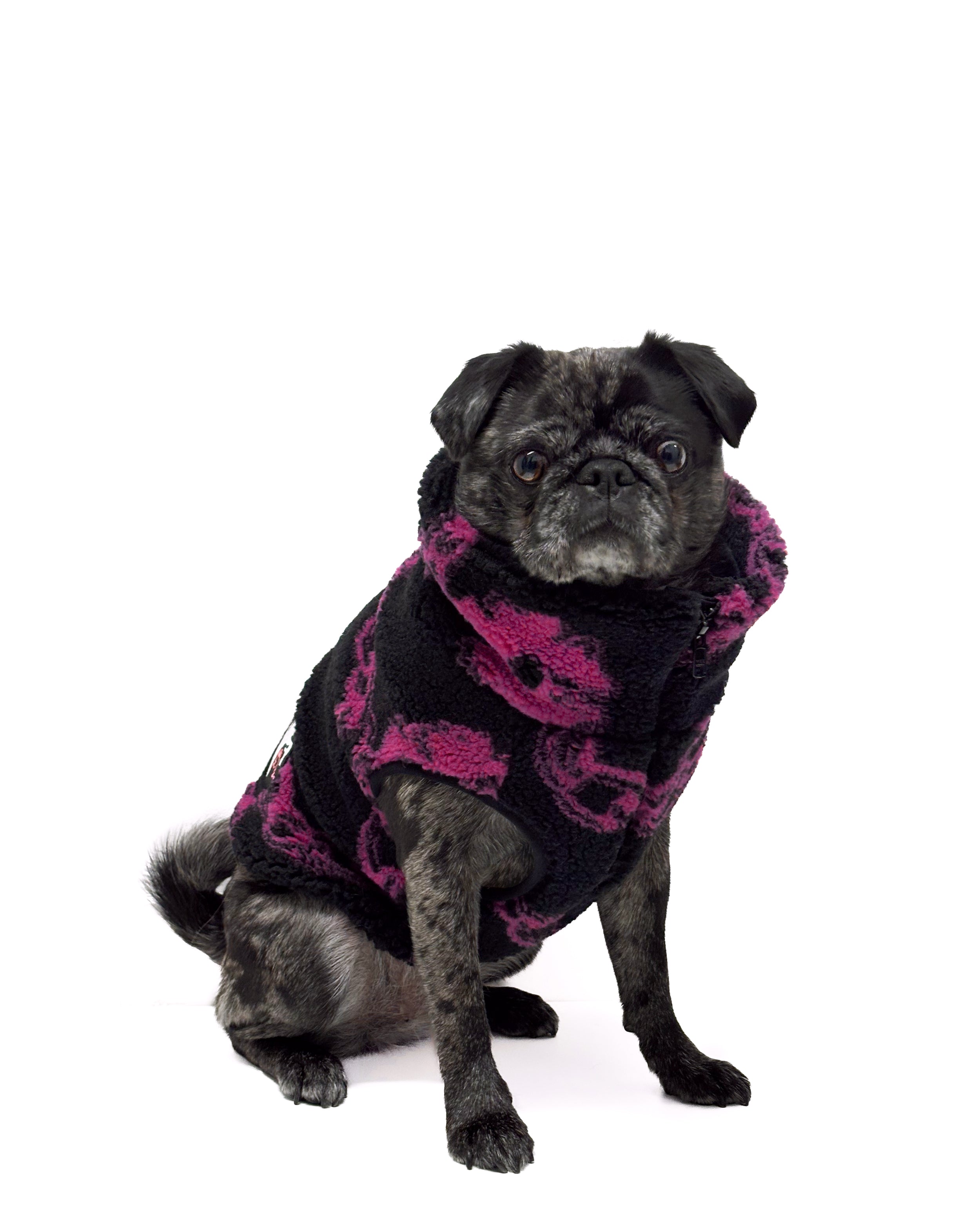 Exclusive Dogs Charm Party Fleece