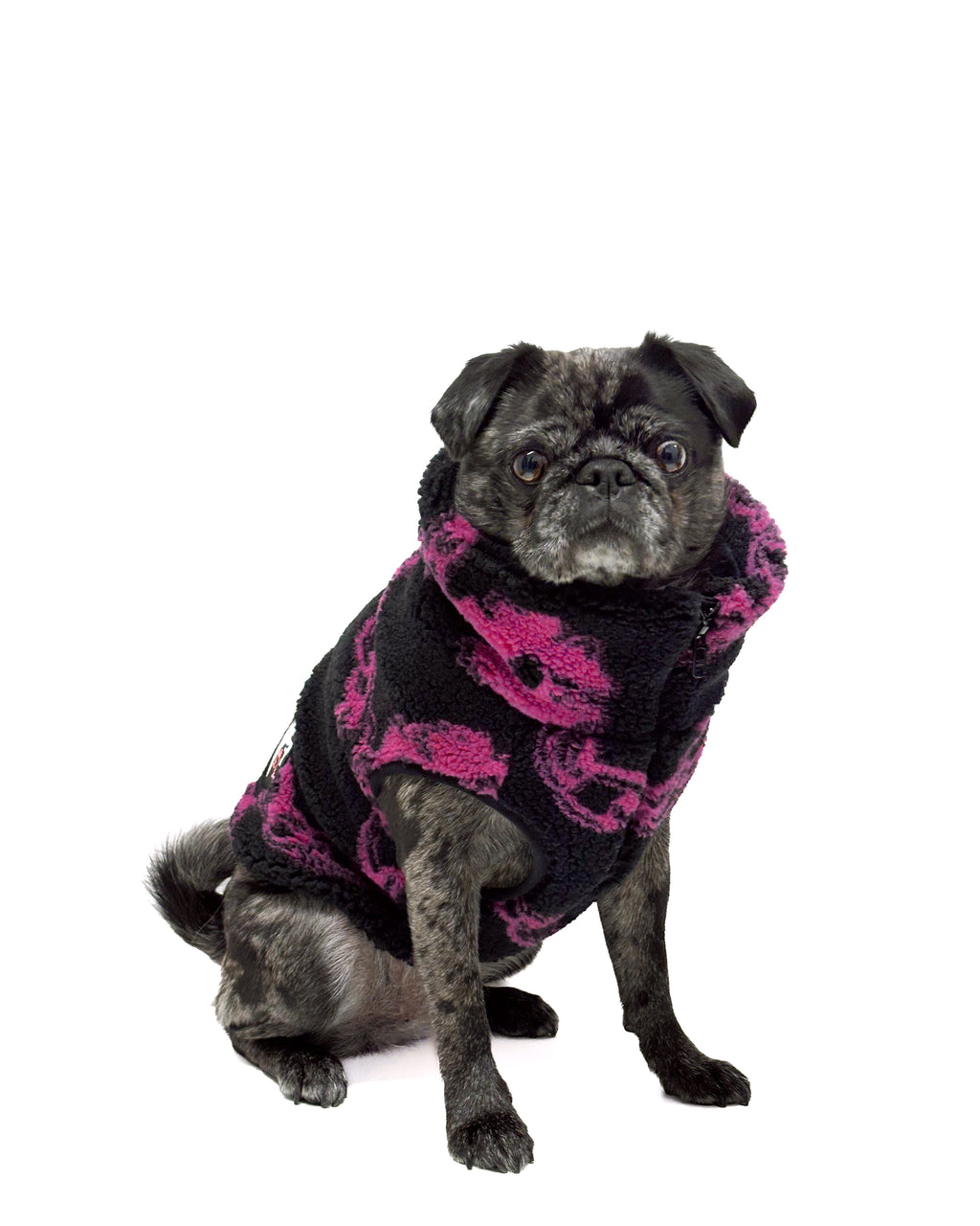 Exclusive Dogs Charm Party Fleece